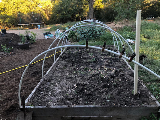 Planting tomato and squash in February? The "whys" and "how to's" of planting and protecting from frost.