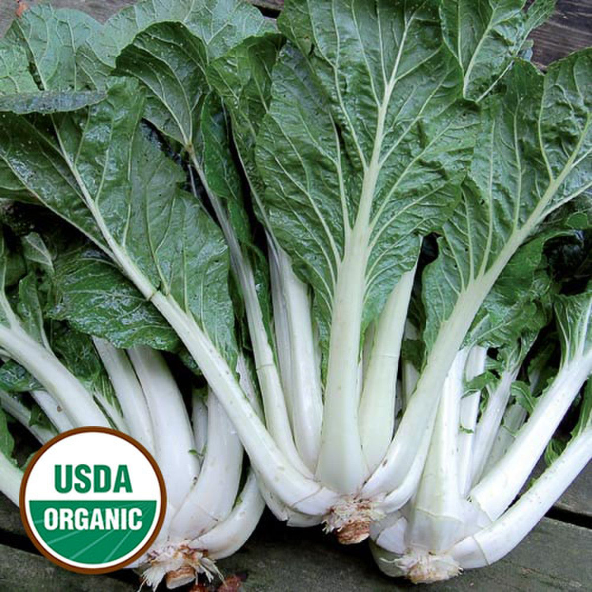 ASIAN GREENS 'Prize Pac Choy'
