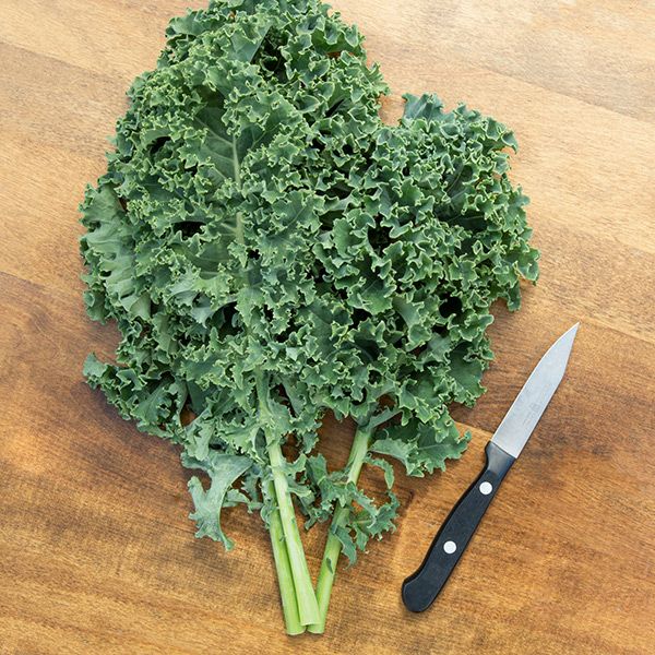 KALE 'Vates'