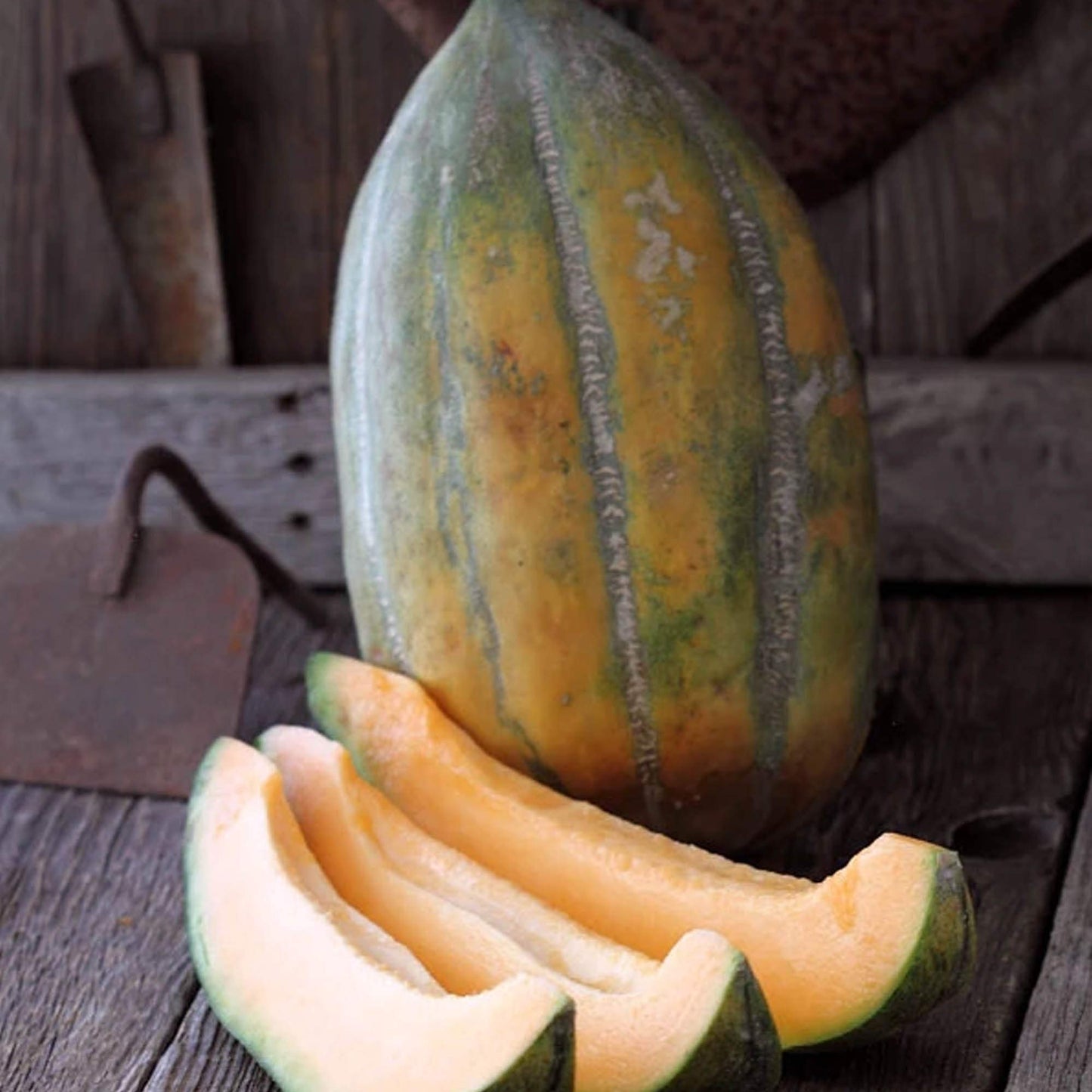 MELON 'Bidwell Casaba'