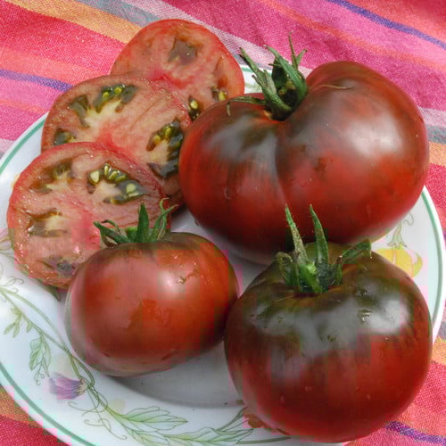 TOMATO 'Black Prince'
