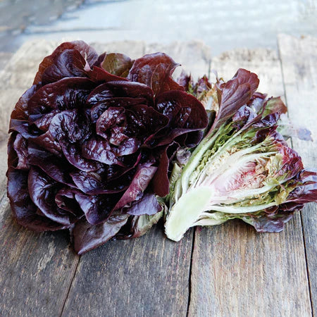 LETTUCE 'Pomegranate Crunch'