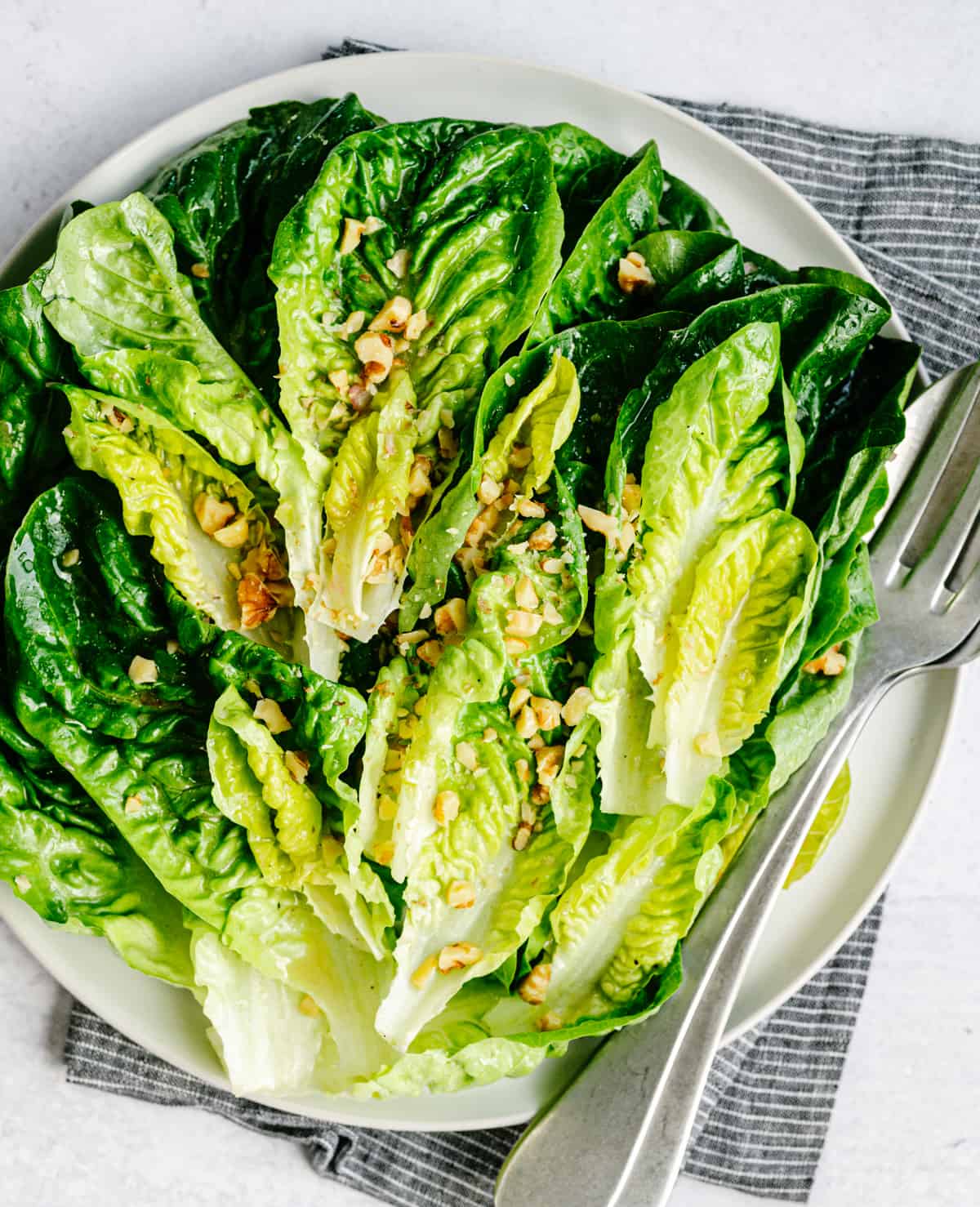 LETTUCE 'Little Gem'