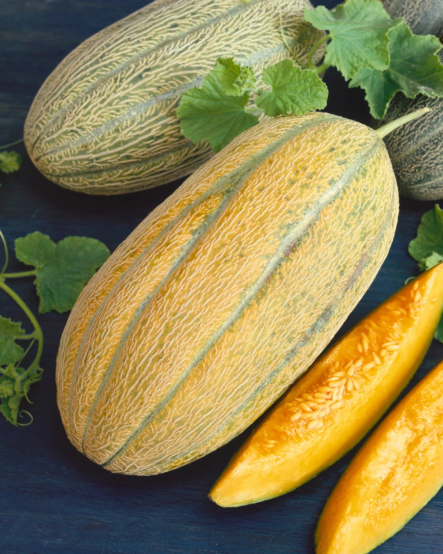 MELON 'Banana'