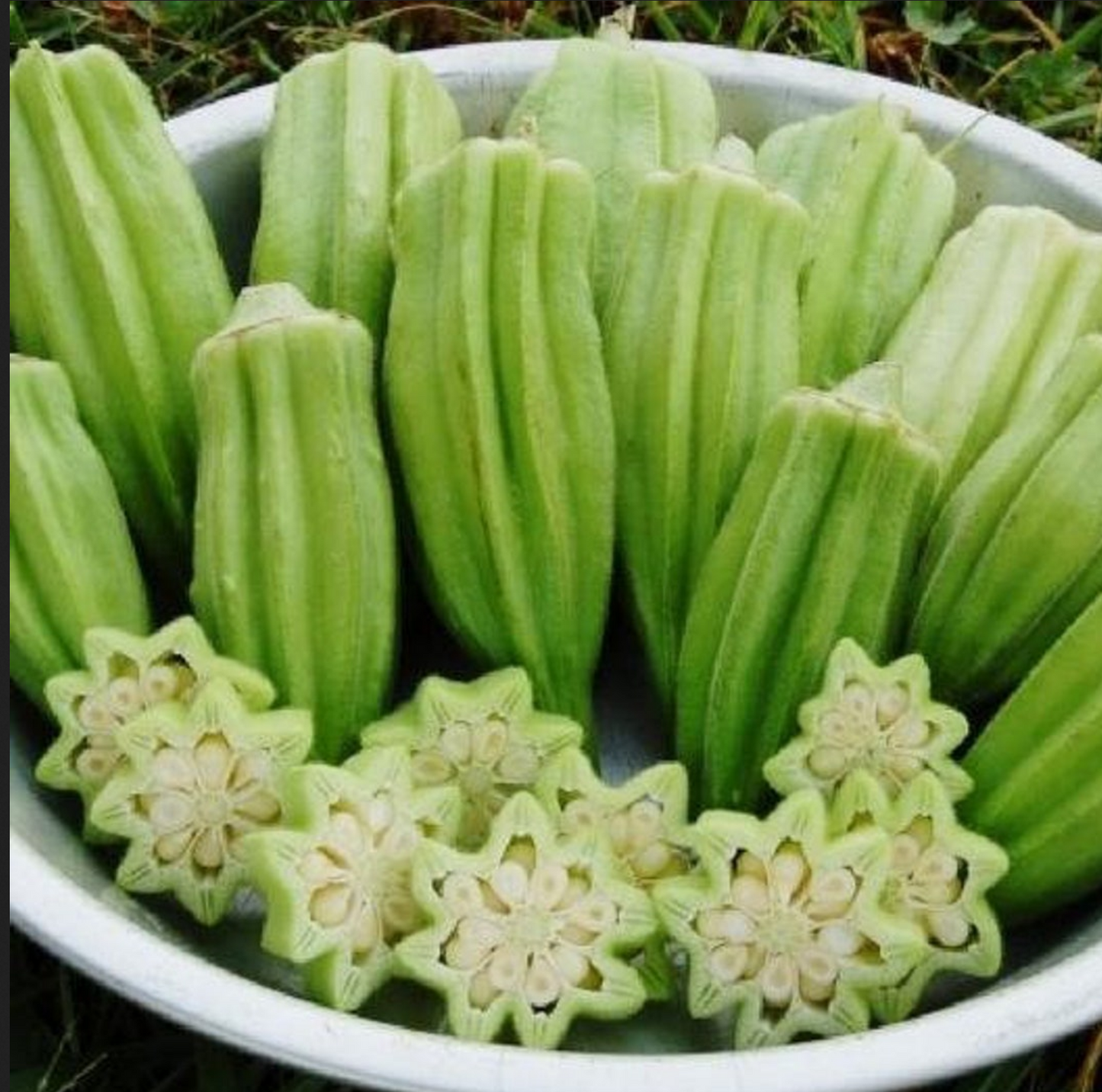 OKRA 'Star of David'