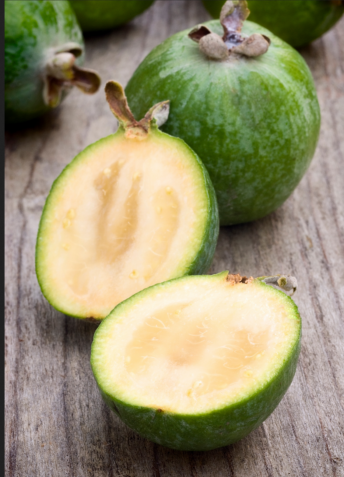 GUAVA 'Pineapple' --Feijoa sellowiana--