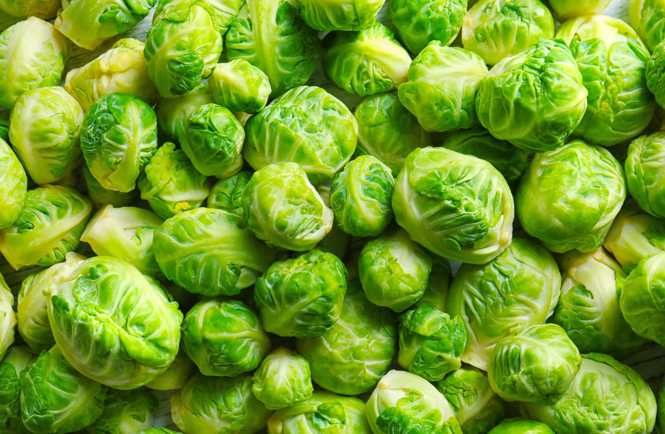 BRUSSELS SPROUT 'Catskill'