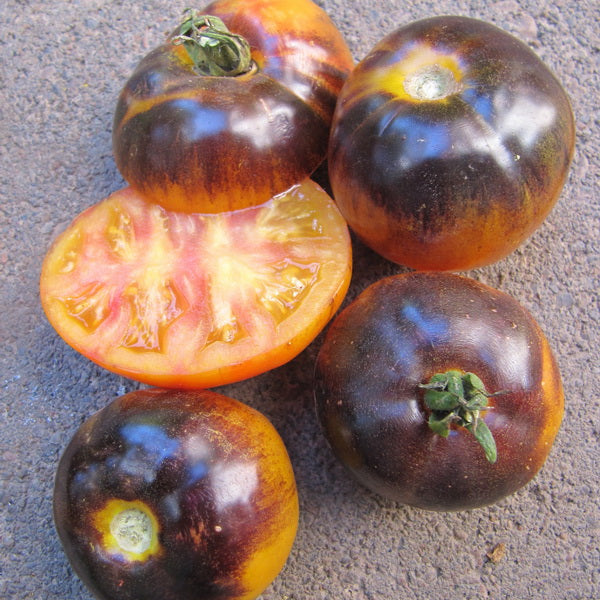 TOMATO 'Blue Gold'
