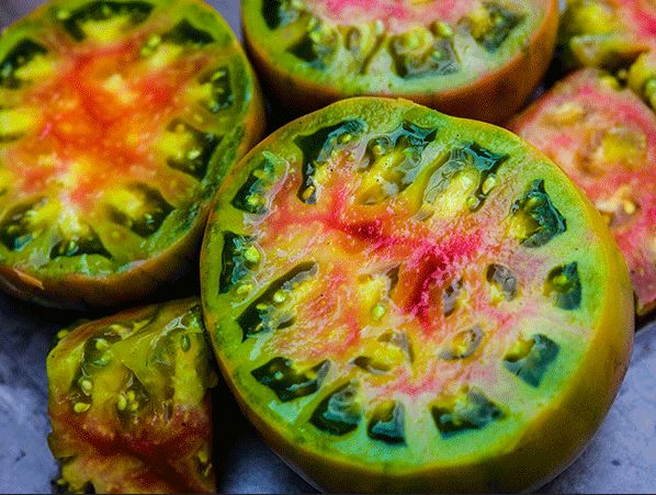 TOMATO 'Ananas Noire'