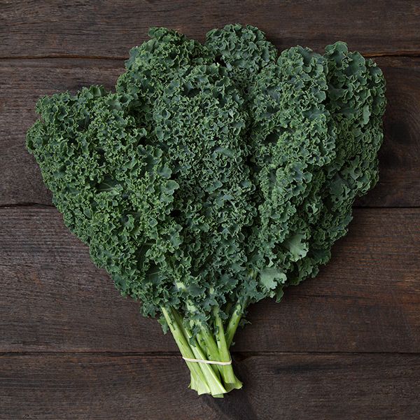 KALE 'Arun'