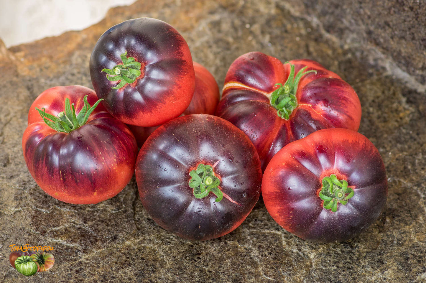 TOMATO 'Blue Beauty'