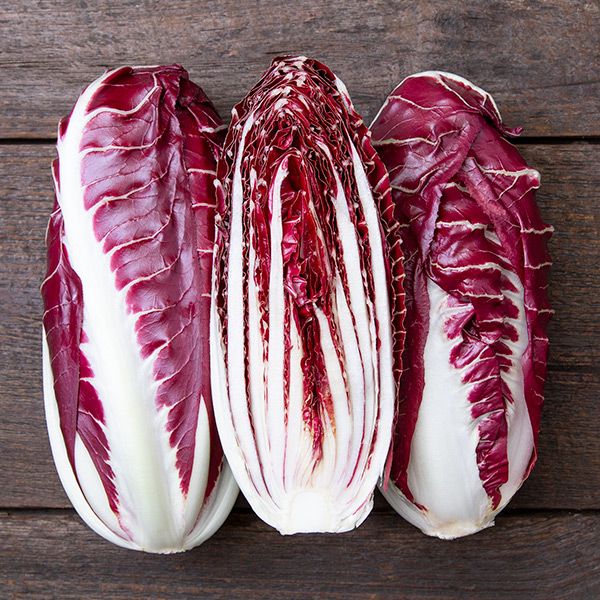 RADICCHIO 'Braci Ardenti'