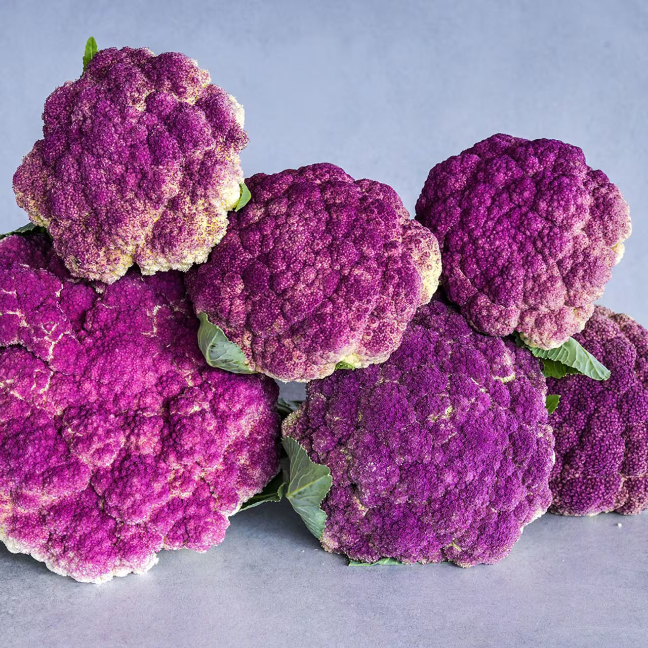 CAULIFLOWER 'Purple of Sicily'