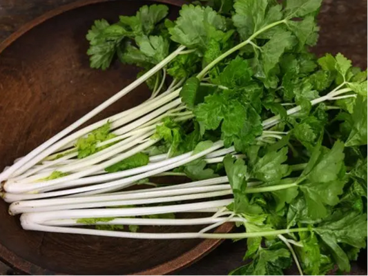 CELERY 'Chinese White'