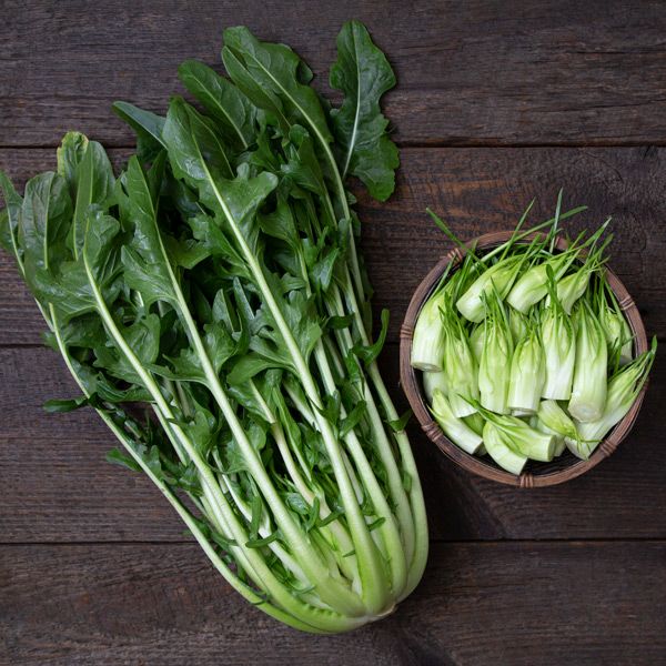 DANDELION GREENS 'Fiamma Verde Puntarelle' --Cicorium intybus var. foliosum--