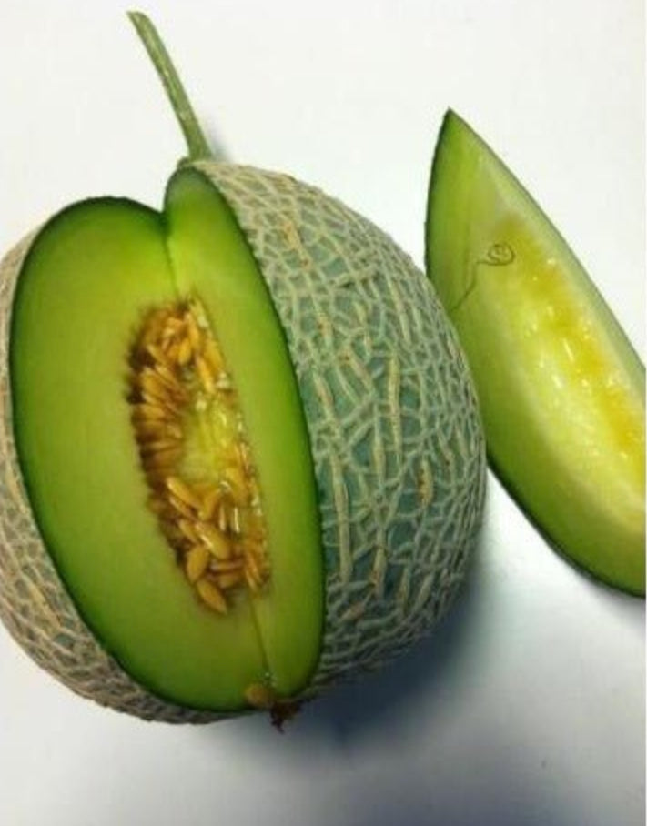 MELON 'Ichiba Kouji' - Gardening Delivery – Lone Star Nursery