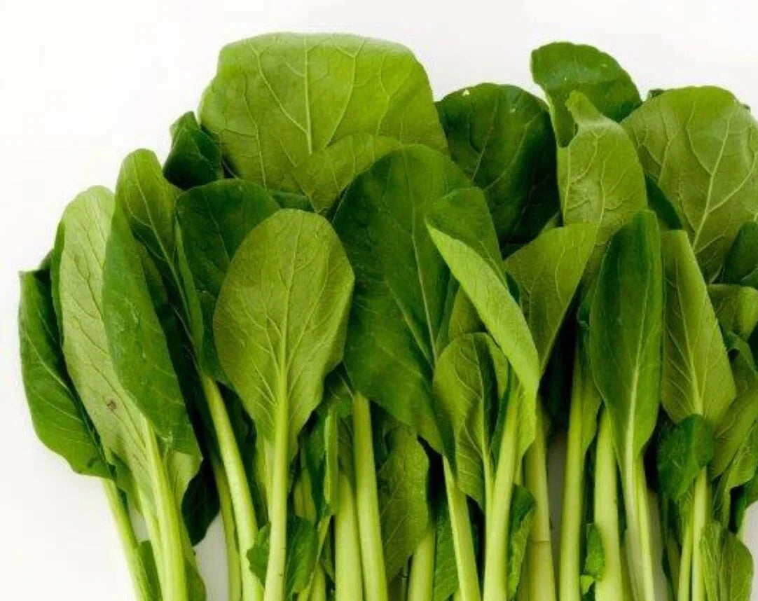 ASIAN GREENS 'Summer Fest Komatsuna'