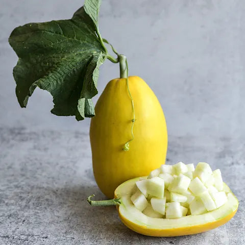 MELON 'Golden Crispy'