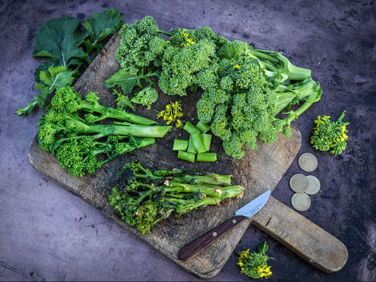 BROCCOLI 'Natalina Di Fasano Cima Grande Rabe'