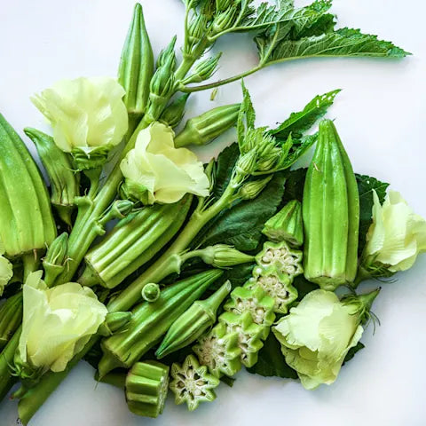 OKRA 'Eagle Pass'