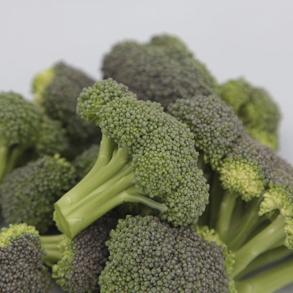 BROCCOLI 'Monflor'