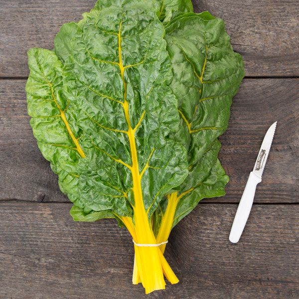 CHARD 'Sunset'