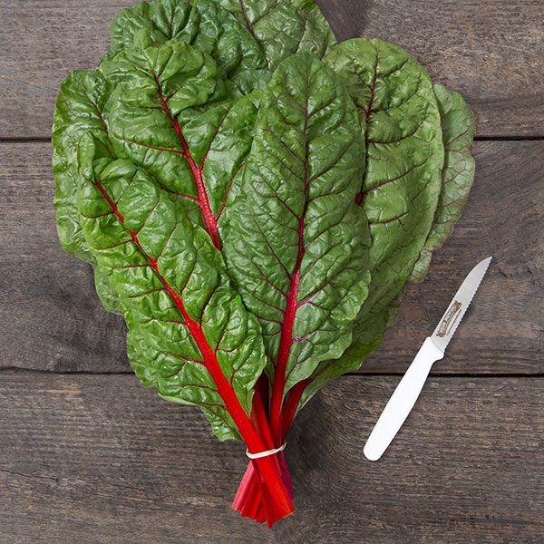 CHARD 'Rhubarb Supreme'