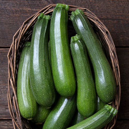 SQUASH 'Stardust Zucchini'
