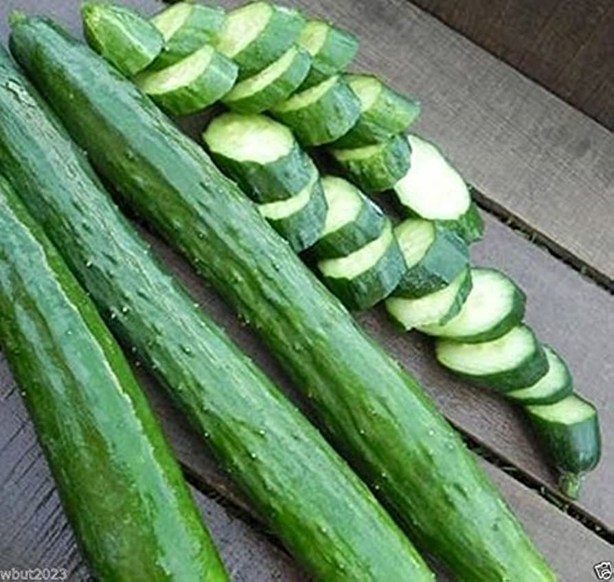 CUCUMBER 'Sooyow Nishiki'