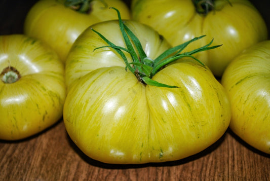 TOMATO 'Pineapple Pig'