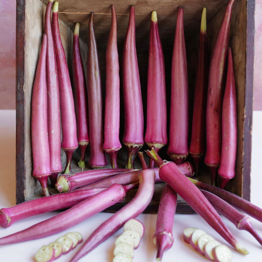 OKRA 'Okinawa Pink'