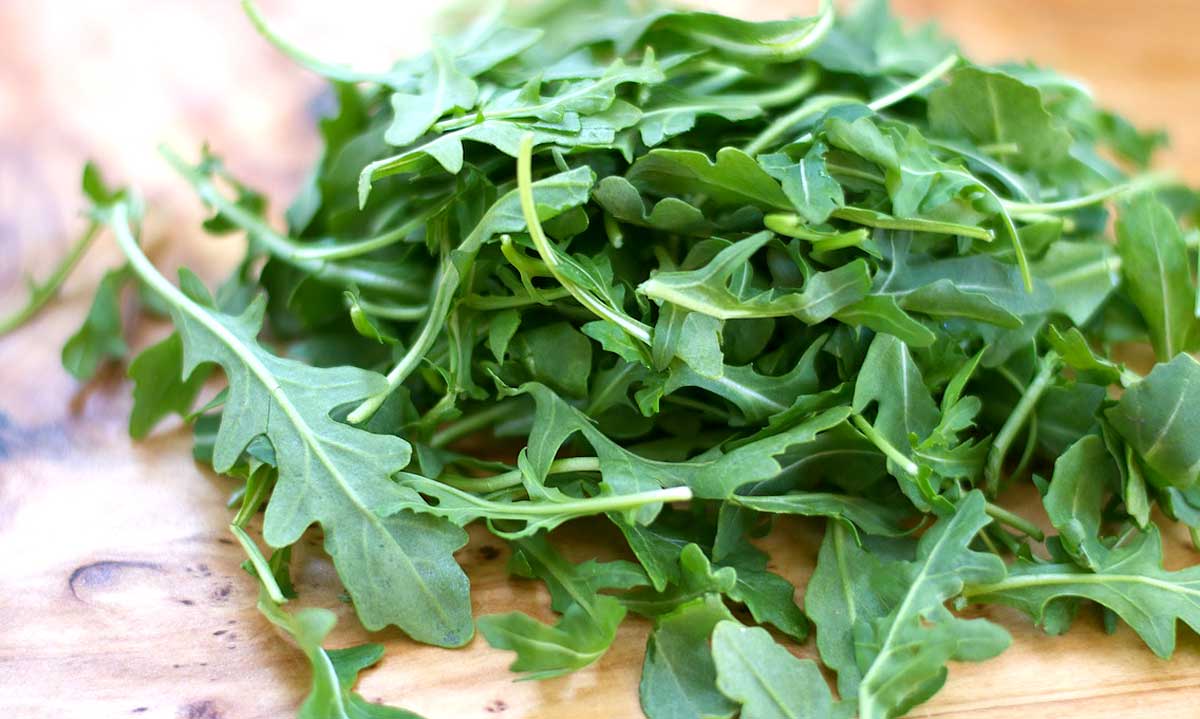 ARUGULA 'Pronto' --Eruca vesicaria--