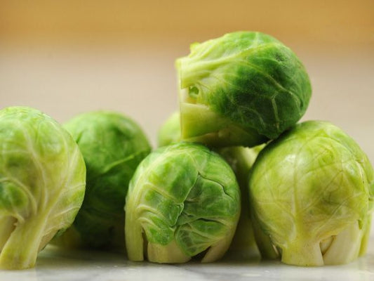 BRUSSELS SPROUT 'Groninger'