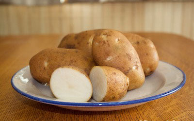POTATO 'Caribou Russet'