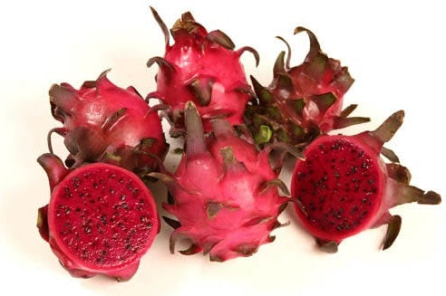 DRAGON FRUIT 'Sugar Dragon' --Hylocereus guatemalensis hybrid--