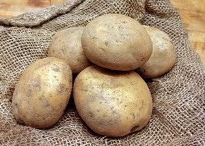 POTATO 'Elba'