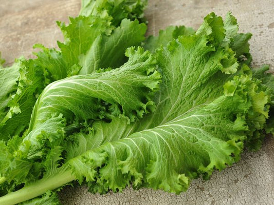 MUSTARD GREENS 'Southern Giant Curled'