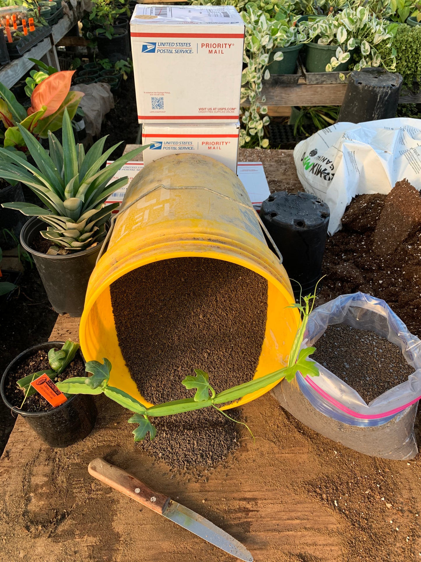 Fruit/Flower/Flourish Fertilizer