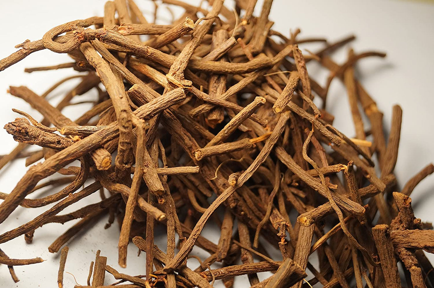 DREAM ROOT --Silene capensis--