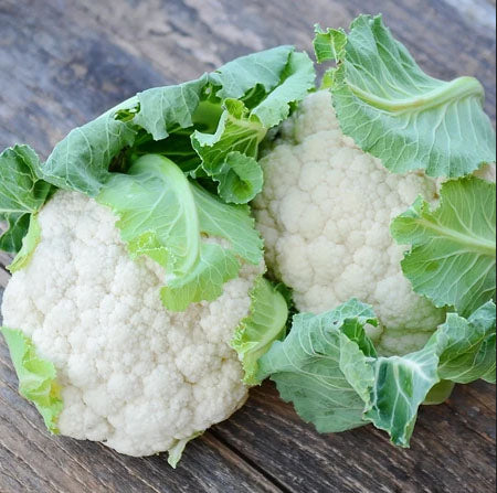 CAULIFLOWER 'Snowbowl'