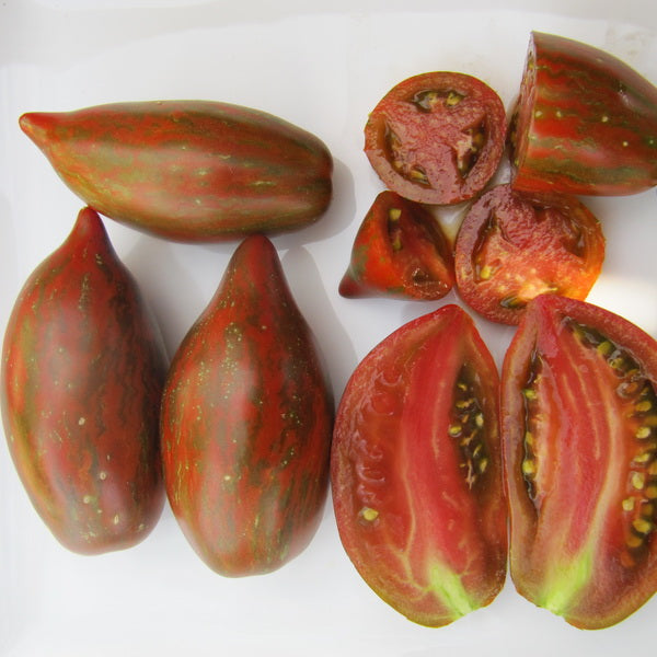 TOMATO 'Boar's Tooth'