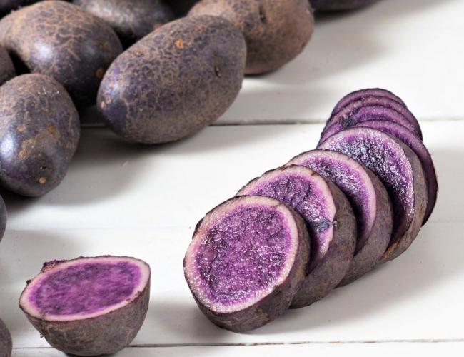 POTATO 'All Blue'