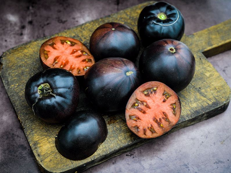 TOMATO 'Black Beauty'