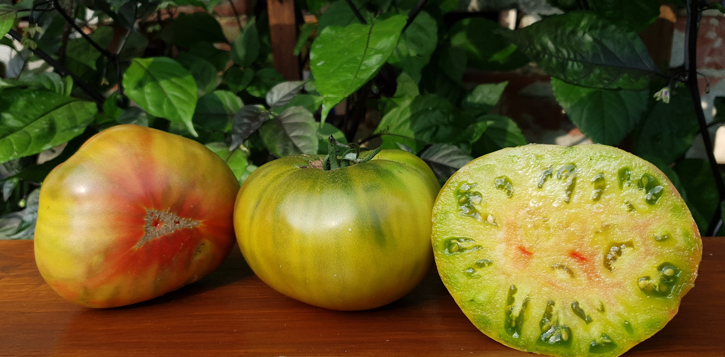 TOMATO 'Captain Lucky'