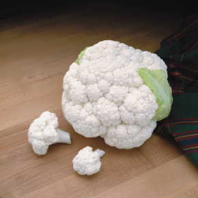 CAULIFLOWER 'Symphony'