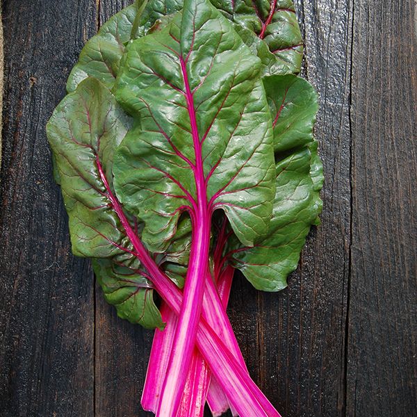 CHARD 'Pink Passion'
