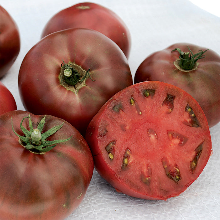 TOMATO 'Cherokee Carbon'