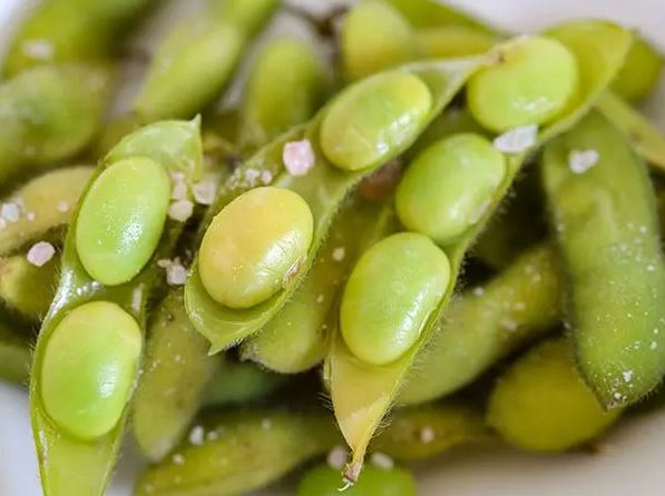 BEAN 'Chiba Green Soy'