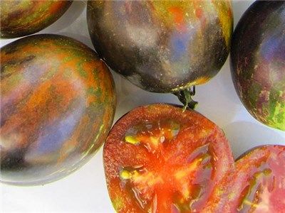 TOMATO 'Cosmic Eclipse'