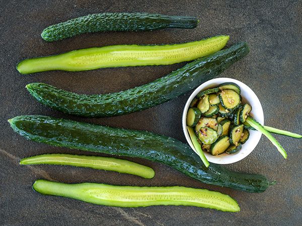 CUCUMBER 'China Jade'
